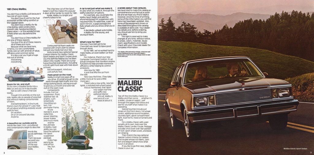 n_1981 Chevrolet Malibu-02-03.jpg